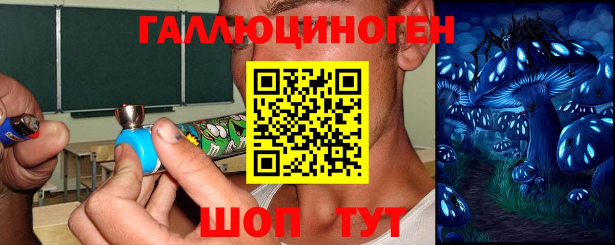 Скопин  Псилоцибиновые грибы Cubensis  Галлюциногенные грибы прущие грибы  Вход с VPN 